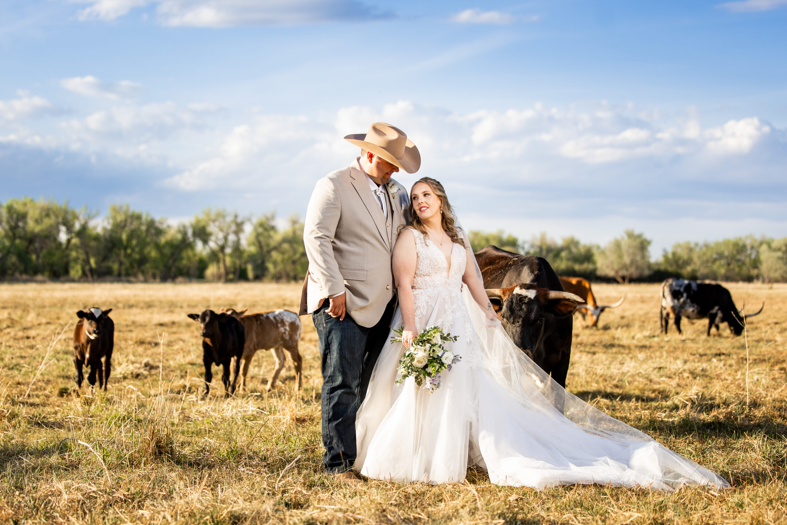 Wedding couple at River Fort Ranch Colorado - Colorado Wedding Photographer Wedding couple with longhorn cows ranch wedding Colorado Wedding Photographer
